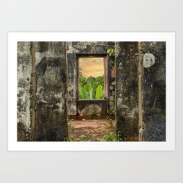 Past Lives in the Jungle Art Print
