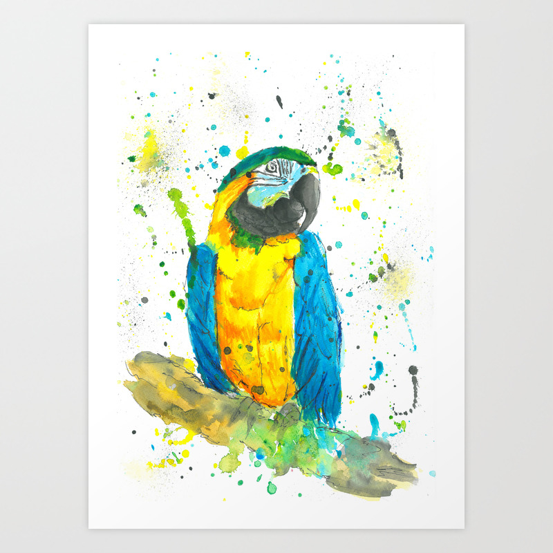 Blue Gold Macaw Watercolor Painting Art Print By