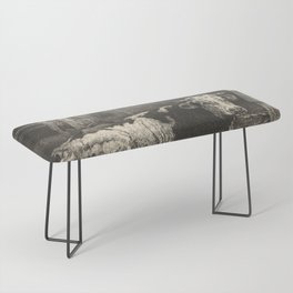 Normandy Bull Black & White Vintage Illustration Bench