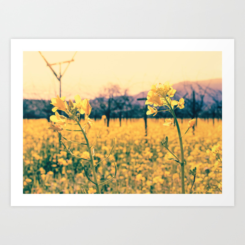Bye Bye Winter Hello Spring Art Print By Graphictabby Society6