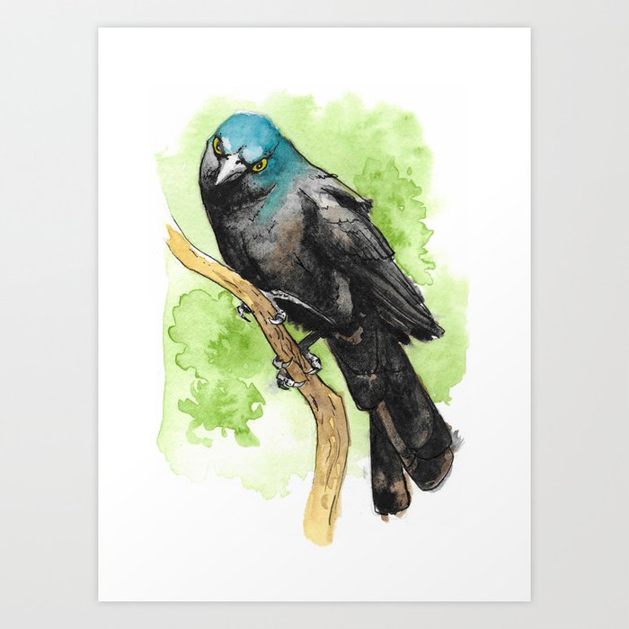 Watercolor Grackle Bird Art Print