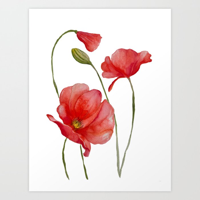 watercolor poppys flowers Art Print