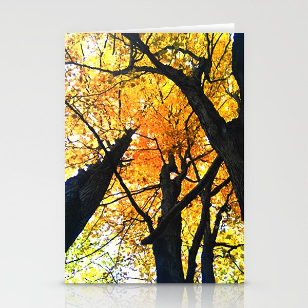 Guelph Lake Leaves Stationery Cards