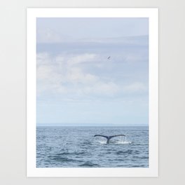 Humpback Whale Nature Photography No. 2 Art Print