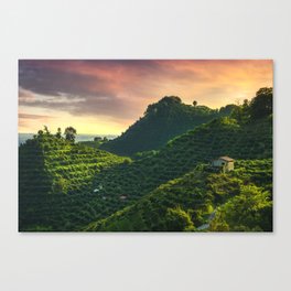 Prosecco vineyards and steep hills at sunset Canvas Print