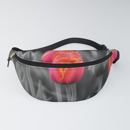 Red Tulips - color splash photography  Fanny Pack