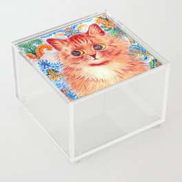 Louis Wain Cat Acrylic Box
