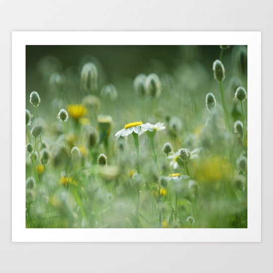 Spring dreams Art Print