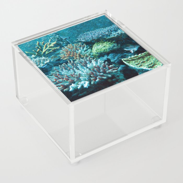 Coral Reef 4 Acrylic Box