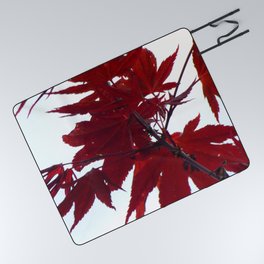 Red Acer in Expressive Picnic Blanket