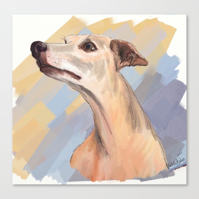 Whippet face Canvas Print
