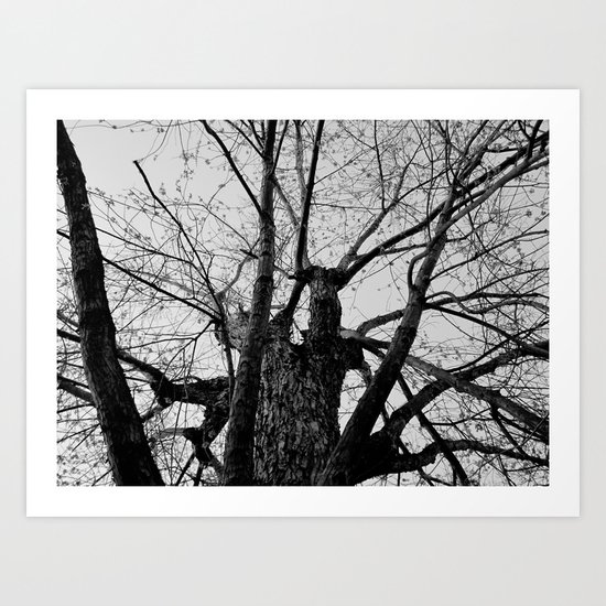 Youth Upon My Limbs II Art Print