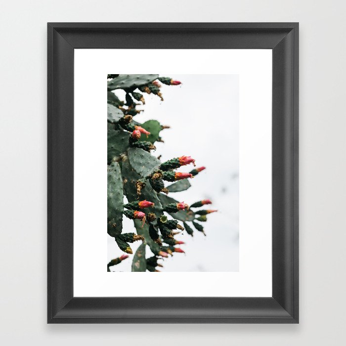 Blooming Cactus Framed Art Print