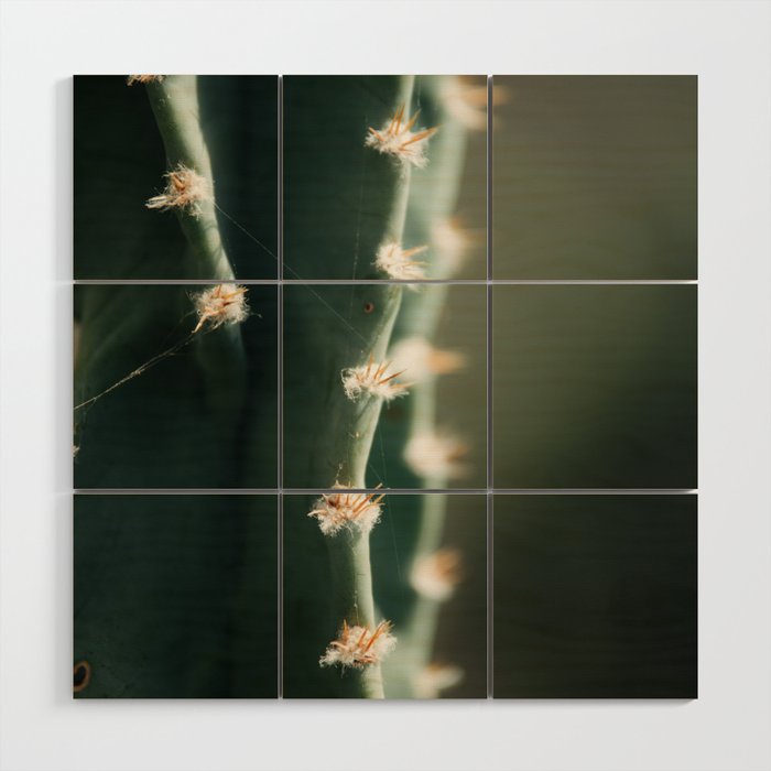 Cactus Spines Wood Wall Art