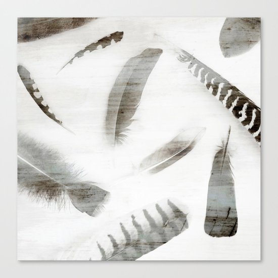 FEATHERS Canvas Print