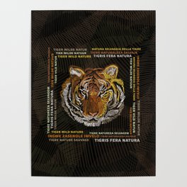Tiger V02 Poster