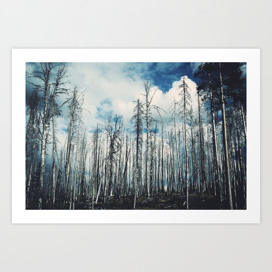 Grainy Trees Art Print