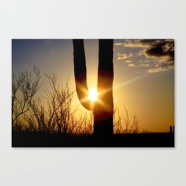 Saguaro Sunset Canvas Print