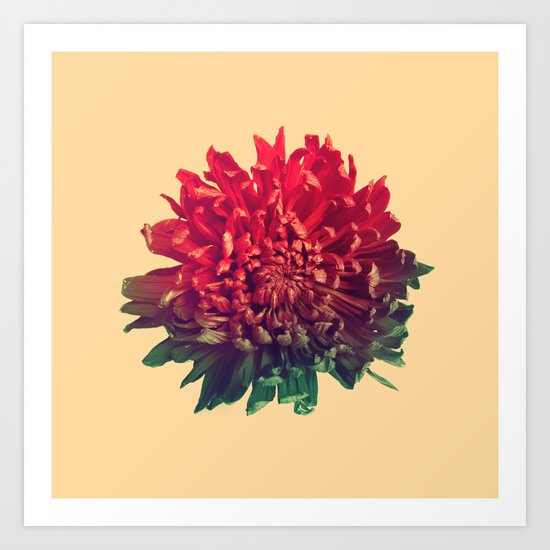 Celebration Art Print