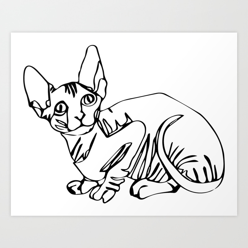 Sphinx Hairless Cat Minimal Line Black And White Drawing Art Print By Artprintsbycourtney Society6,Violet Flower Drawing Step By Step