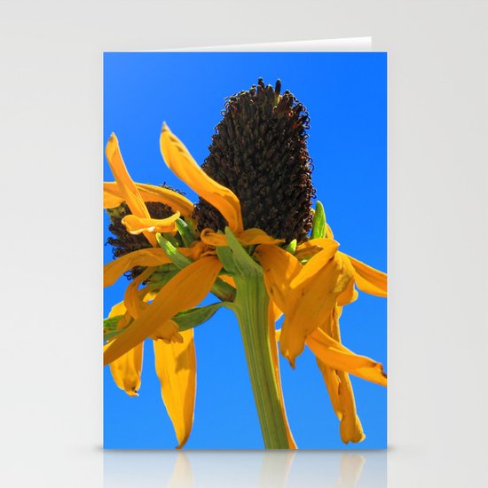 Flowers Stationery Cards