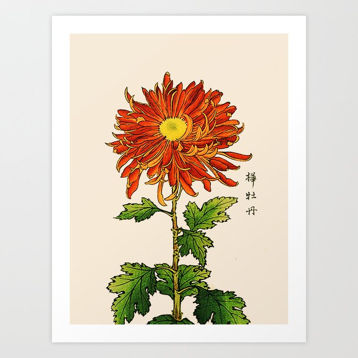 Vintage Japanese Chrysanthemum Orange And Gold Art Print By Mmgladn10 Society6