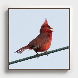 Bird on a Wire Framed Canvas