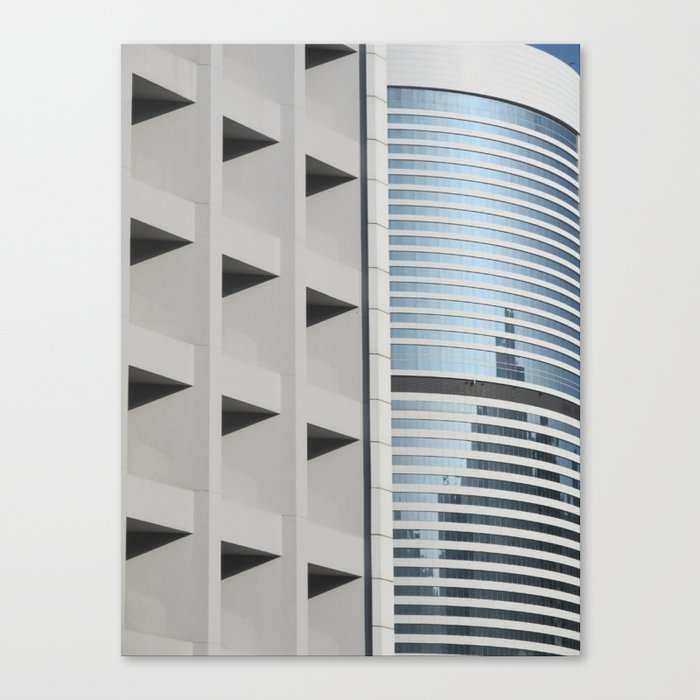 Form & Function Canvas Print