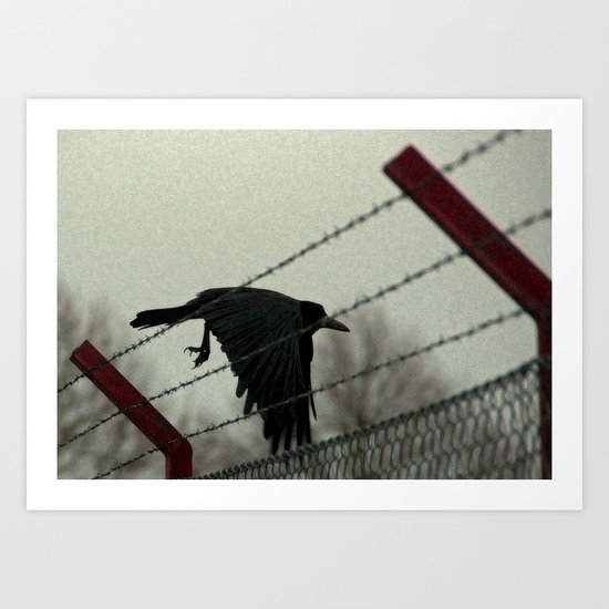 No fences can hold me Art Print