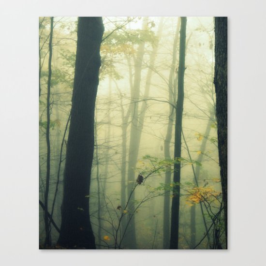 Let the Silence Take Me Canvas Print