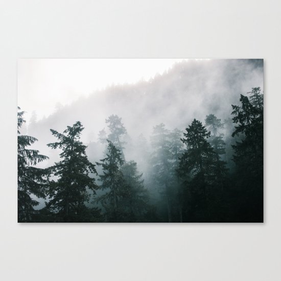 Forest Fog IX Canvas Print