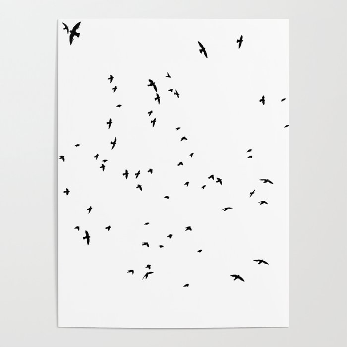 The Black Birds (Black and White) Poster