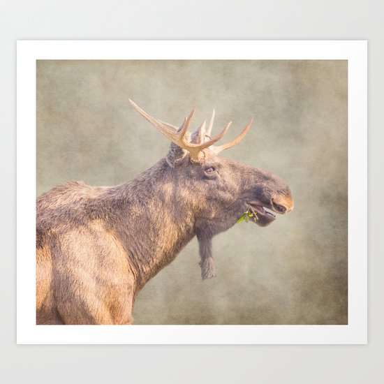 Mr Moose Art Print