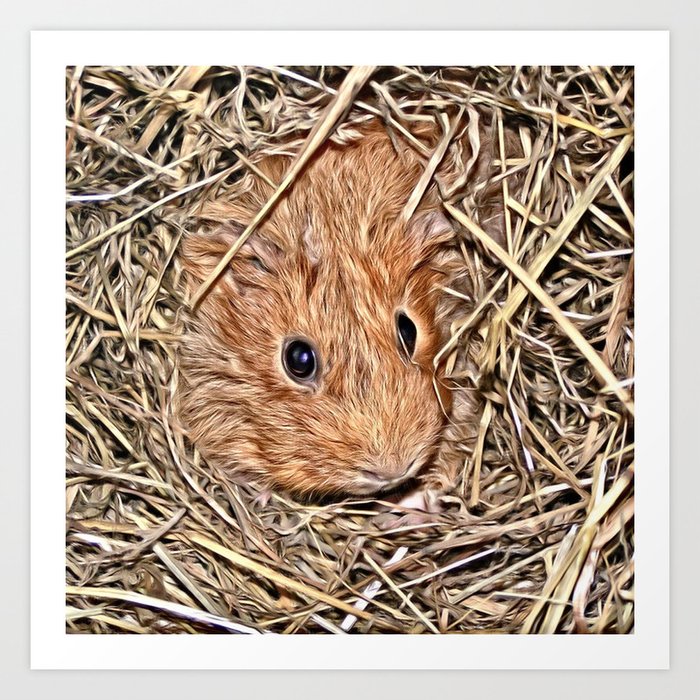 Painted Guinea Pig Baby Art Print By Jamcolorsspecial Society6