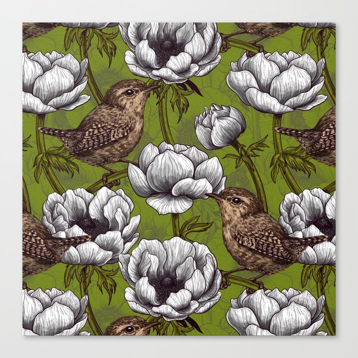 White anemone flowers and wrens Canvas Print