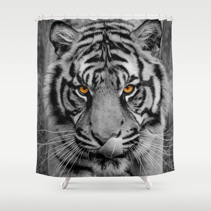 Tiger Portrait Shower Curtain By Catspaws Society6