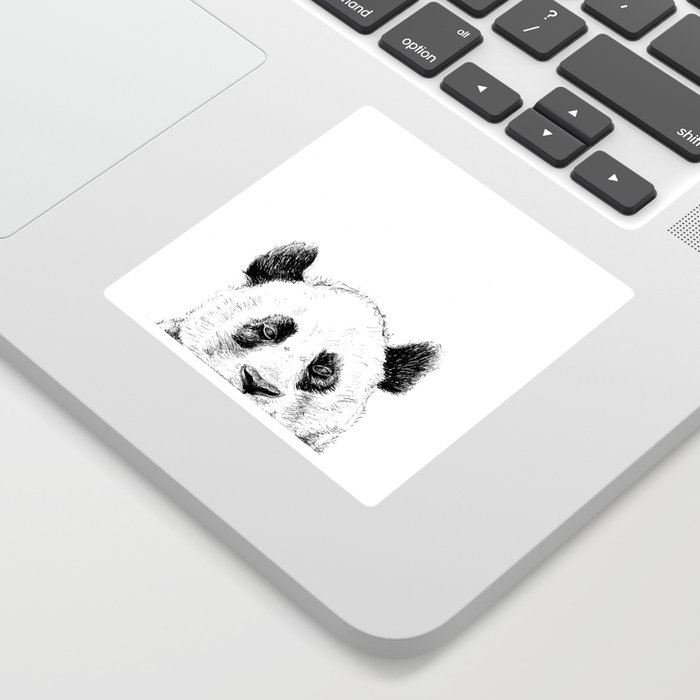 Panda peekaboo Sticker