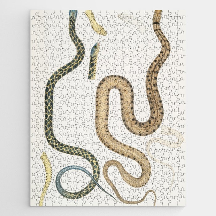 Bengal & Lozenge Snakes Jigsaw Puzzle