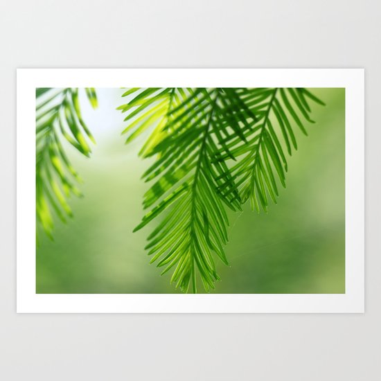 Needles Art Print