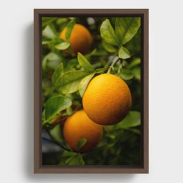 Hybrid Orange Framed Canvas