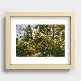 Tahoe Leaves Recessed Framed Print