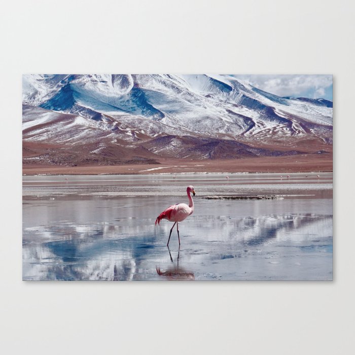 Flamingos in Lagoon in Salt Flats, Bolivia. Salar de Uyuni flamingos. Bolivia.  Canvas Print