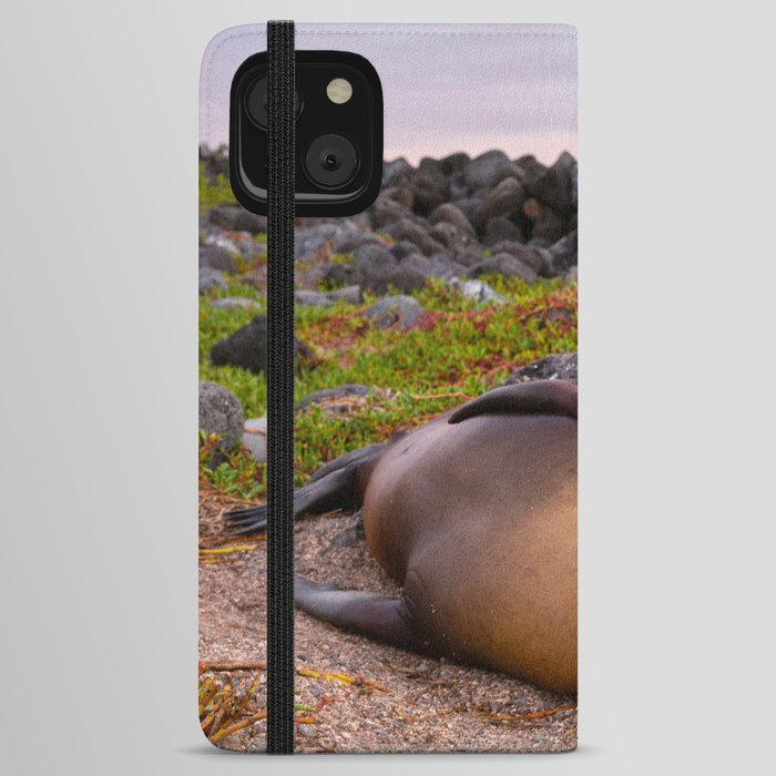 Sleeping Galápagos sea lion iPhone Wallet Case