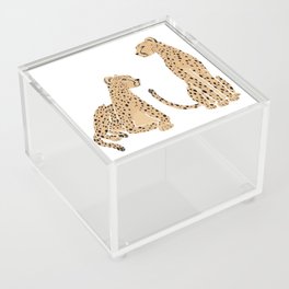 Sitting Cheetahs Acrylic Box