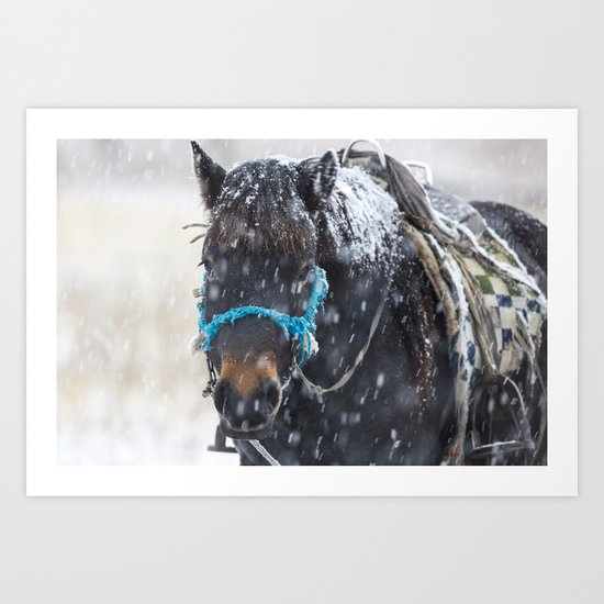Winter Horse I Art Print