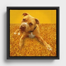 CHENiLLE (shelter pup) Framed Canvas