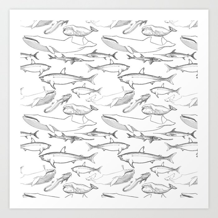 The Deep Sea Whale Shark Fish Ocean Animals Art Print By Simplicity Of Live Society6,Easy Human Face Sketches