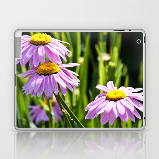 Pink Daisy Laptop & iPad Skin