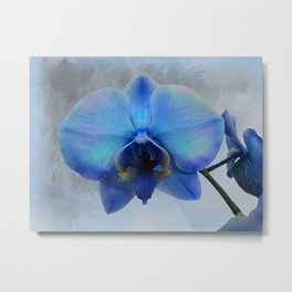 Blue Orchid Flower Art Modern Cottage Chic Home Decor Art A461 Metal Print | Homeandliving, Cottagechic, Orchidaccessories, Giftforthehome, Color, Orchidart, Blue, Floweraccessories, Photo, Flowerdecor 