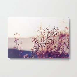 FIND BEAUTY IN EVERTHING Metal Print